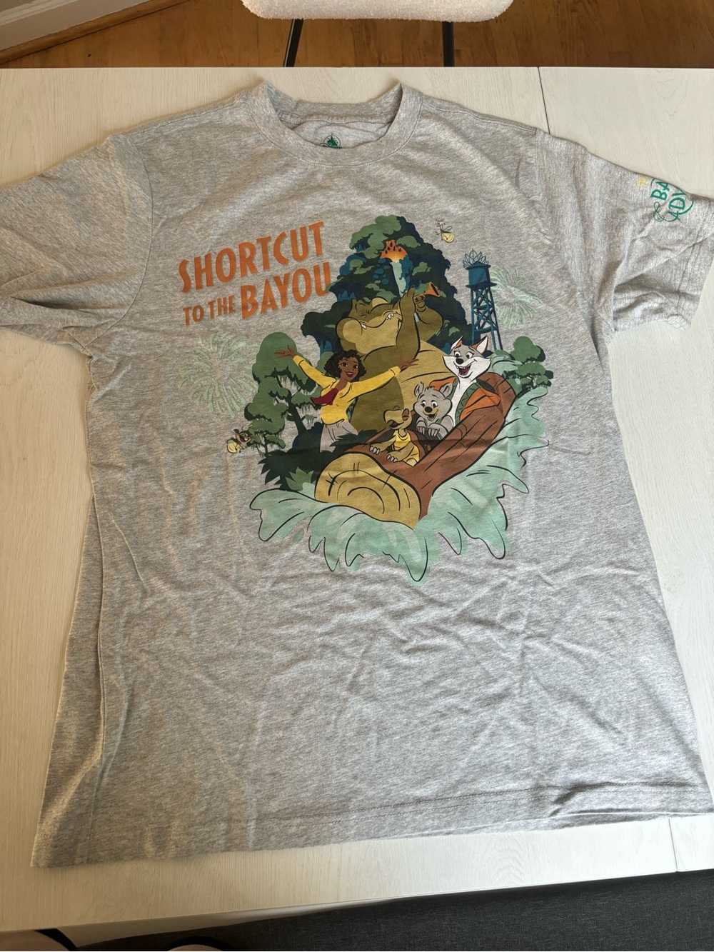 Disney World bundle - Picture 2 of 12